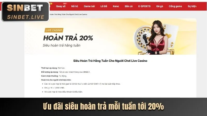 Chương trình VIP độc quyền 5top